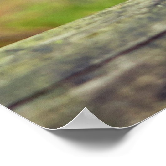 Acorn elf rijdt op het poster van de fiets (Hoek)