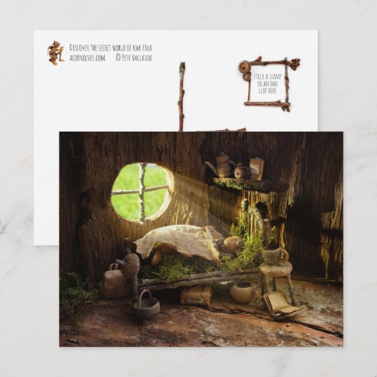 Acorn elf slapen in zijn huis briefkaart (Voorkant / Achterkant)