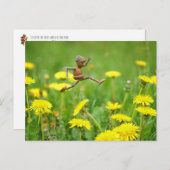 Acorn elf springt op de andelions op de weide briefkaart (Voorkant / Achterkant)
