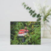 Acorn elf tuinman met tomaten briefkaart (Staand voorkant)
