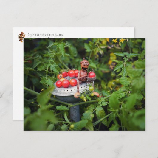 Acorn elf tuinman met tomaten briefkaart (Voorkant / Achterkant)