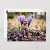 Acorn elf wacht op het briefkaart in de lente (Voorkant / Achterkant)