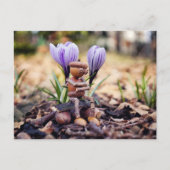 Acorn elf wacht op het briefkaart in de lente (Voorkant)