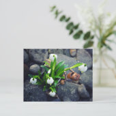 Acorn elf with snowflake flower spring postcard briefkaart (Staand voorkant)