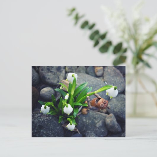 Acorn elf with snowflake flower spring postcard briefkaart (Staand voorkant)