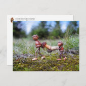 Acorn elfen met grote paddenstoel in de mand briefkaart (Voorkant / Achterkant)