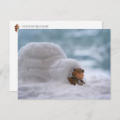 Acorn elves die spelen met het sneeuwwinterbriefka briefkaart (Voorkant / Achterkant)