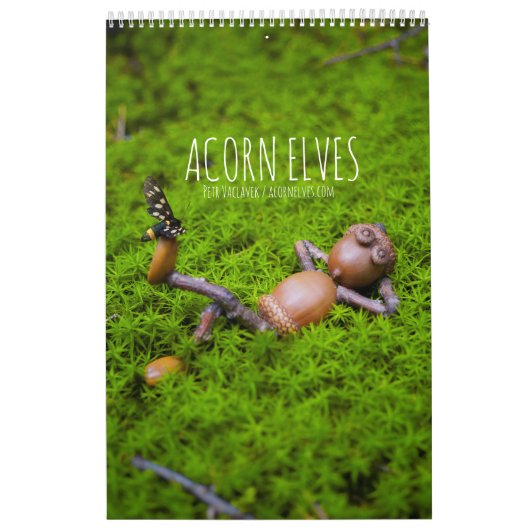 Acorn Elves / Dubanci-fotokalender Kalender (Hoes)