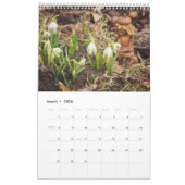 Acorn Elves / Dubanci-fotokalender Kalender (Mar 2026)