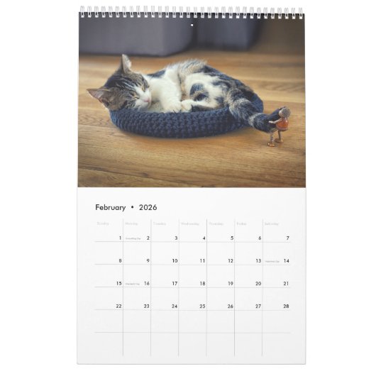 Acorn Elves / Dubanci-fotokalender Kalender (Feb 2026)