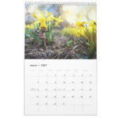 Acorn Elves / Dubanci-fotokalender Kalender (Mar 2027)