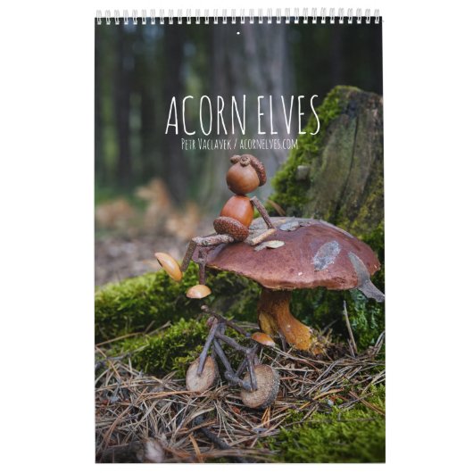 Acorn Elves / Dubanci-fotokalender Kalender (Hoes)