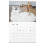 Acorn Elves / Dubanci-fotokalender Kalender (Feb 2026)