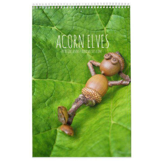 Acorn Elves / Dubanci-fotokalender Kalender (Hoes)
