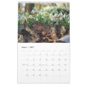 Acorn Elves / Dubanci-fotokalender Kalender (Mar 2027)