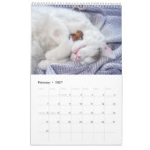 Acorn Elves / Dubanci-fotokalender Kalender (Feb 2027)