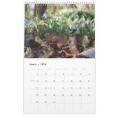 Acorn Elves / Dubanci-fotokalender Kalender (Mar 2026)
