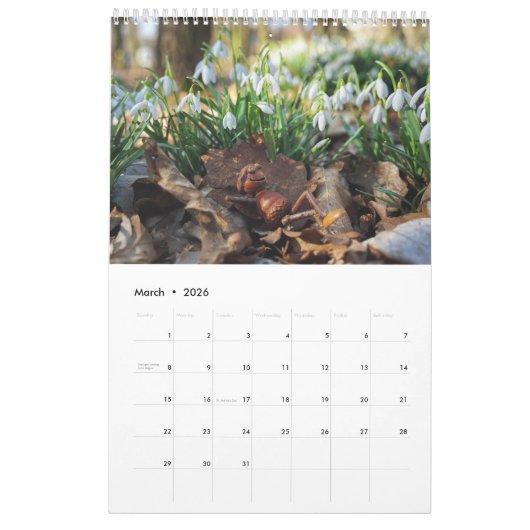 Acorn Elves / Dubanci-fotokalender Kalender (Mar 2026)