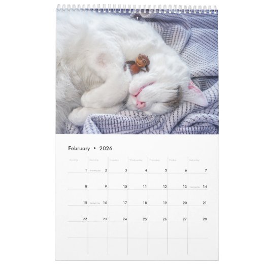 Acorn Elves / Dubanci-fotokalender Kalender (Feb 2026)