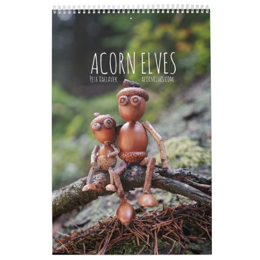 Acorn Elves / Dubanci-fotokalender Kalender (Hoes)