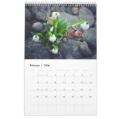 Acorn Elves / Dubanci-fotokalender Kalender (Feb 2026)