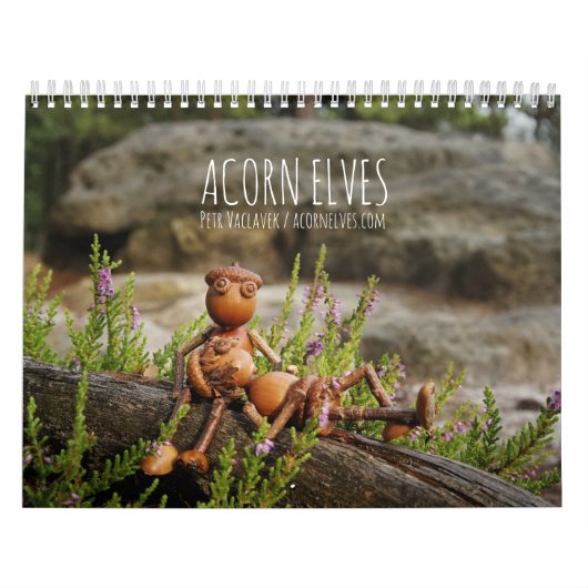 Acorn Elves / Dubanci-fotokalender Kalender (Hoes)