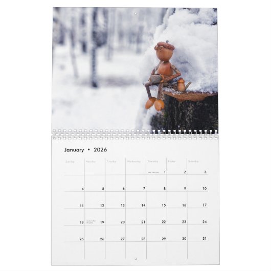Acorn Elves / Dubanci-fotokalender Kalender (Jan 2026)
