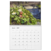 Acorn Elves / Dubanci-fotokalender Kalender (Mar 2027)