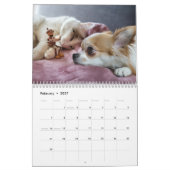 Acorn Elves / Dubanci-fotokalender Kalender (Feb 2027)