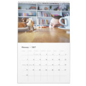 Acorn Elves / Dubanci-fotokalender Kalender (Feb 2027)