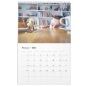 Acorn Elves / Dubanci-fotokalender Kalender (Feb 2026)