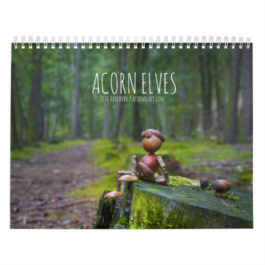 Acorn Elves / Dubanci-fotokalender Kalender (Hoes)