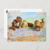 Acorn elves plant een reis briefkaart (Voorkant / Achterkant)