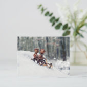 Acorn elves rijden op slee briefkaart (Staand voorkant)