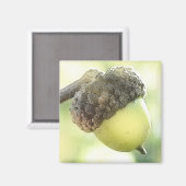 Acorn Magneet (Voorkant / Achterkant)