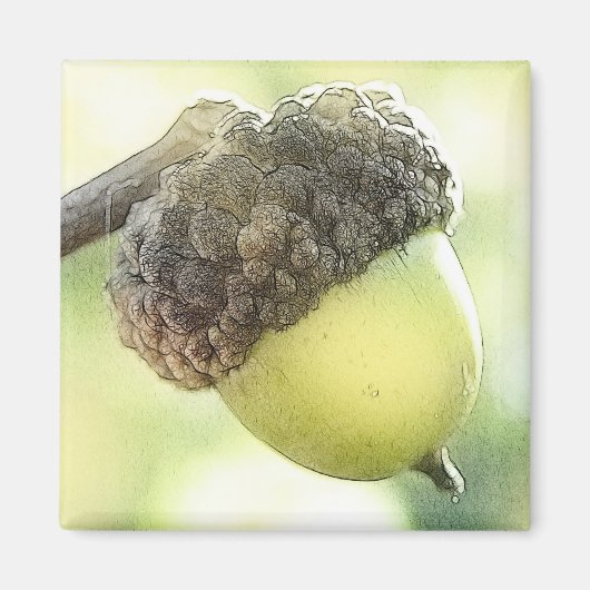 Acorn Magneet (Voorkant)
