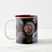 Acorn Mok (Links)