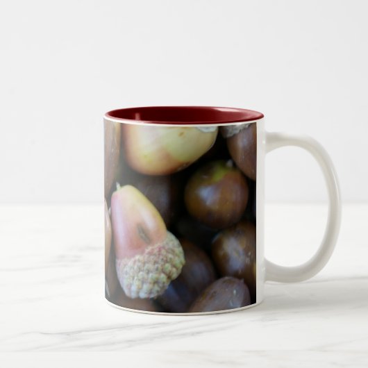 Acorn Mok (Rechts)