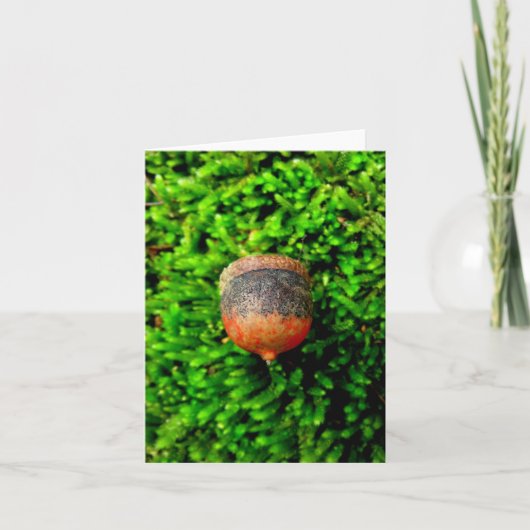 Acorn & Moss Notecard Kaart (Voorkant)