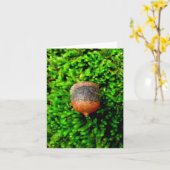 Acorn & Moss Notecard Kaart (Gele Bloem)
