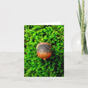 Acorn & Moss Notecard Kaart