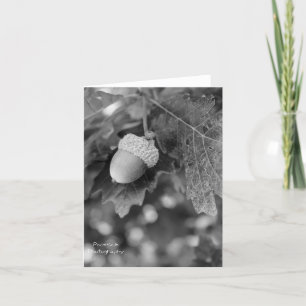 Acorn Note Card Kaart