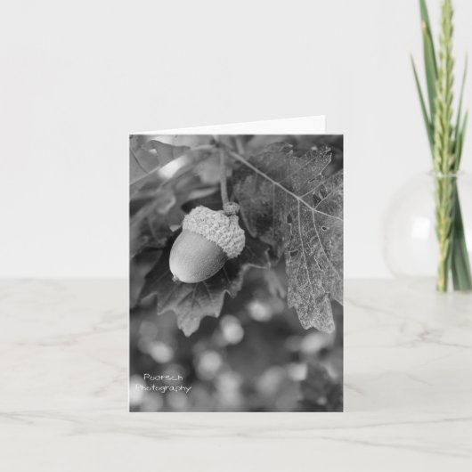 Acorn Note-Kaart Kaart (Voorkant)