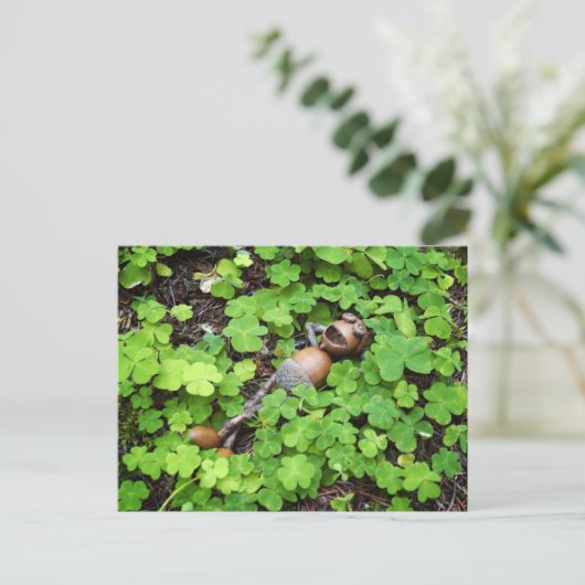 Acorn ontspant in klavertjes met vier bladeren. St Briefkaart (Staand voorkant)