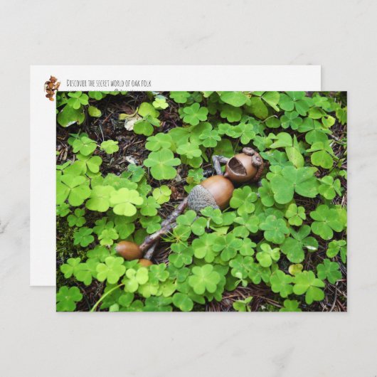 Acorn ontspant in klavertjes met vier bladeren. St Briefkaart (Voorkant / Achterkant)