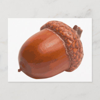 acorn.png briefkaart
