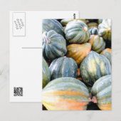 Acorn Squash Briefkaart (Voorkant / Achterkant)