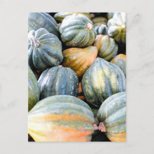 Acorn Squash Briefkaart