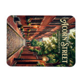 Acorn Street Massachusetts Magneet (Horizontaal)
