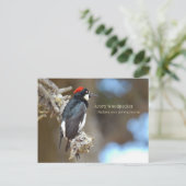 Acorn Woodpecker Briefkaart (Staand voorkant)